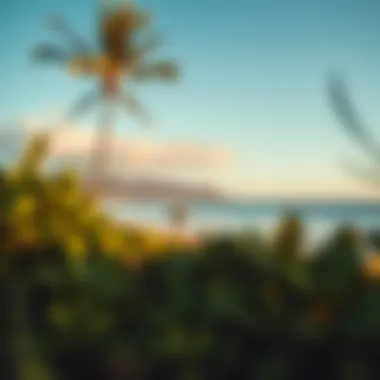 Sustainable Travel Practices at Rancho Estero y Mar Eco-friendly travel tips displayed with natural surroundings