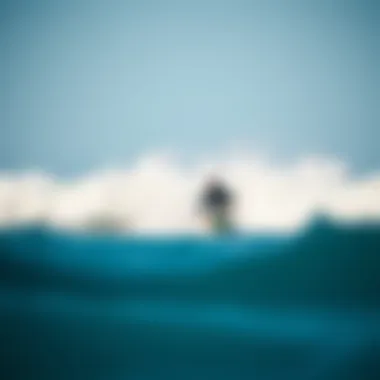 Thrilling Surf Experience at Rancho Estero y Mar Surfer riding a wave in the serene waters of Rancho Estero y Mar