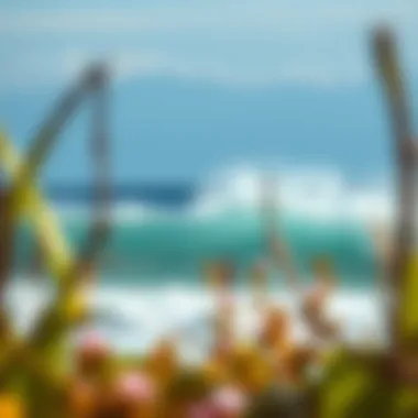 Exploring Surf Camps in South America Summary