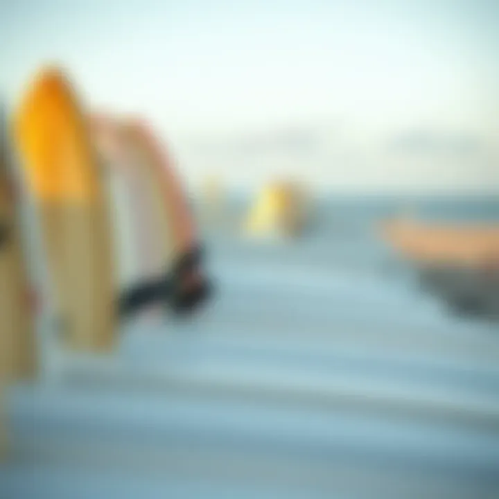 Surfboards lined up on the beach at Hilton Head