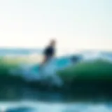 Exploring the 34 Wide Paddle Board: A Comprehensive Guide Introduction