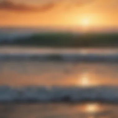 Surfers enjoying a sunset session on the Atlantic coast