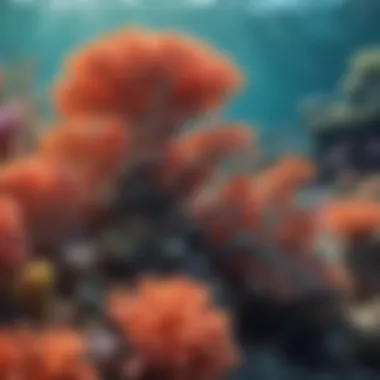 Vibrant coral formations teeming with marine life