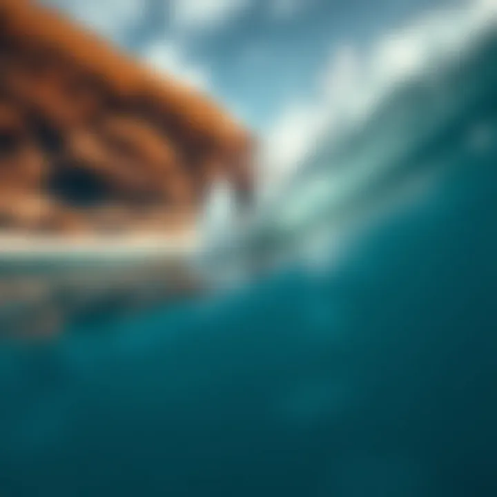Notable Exploring the Depths of Surfing Phone Cases