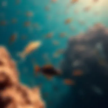 A diverse range of marine species swimming together