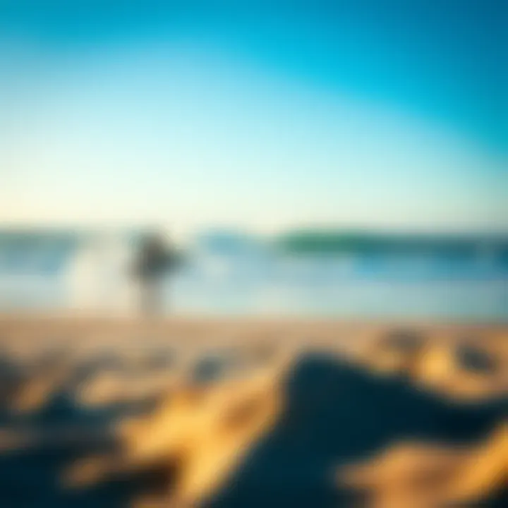 Essence of Surf Culture A serene beach scene depicting the essence of surf culture