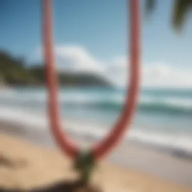 Lei Necklaces Against a Scenic Beach A scenic beach view with lei necklaces in the foreground