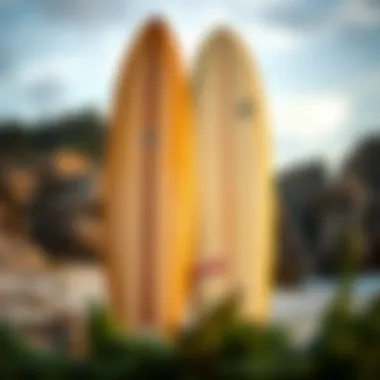 No Wax vs Traditional Surfboard Comparison of a no wax surfboard and a traditional waxed surfboard side by side