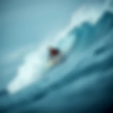 Exploring the Varied Landscape of Longboards Summary