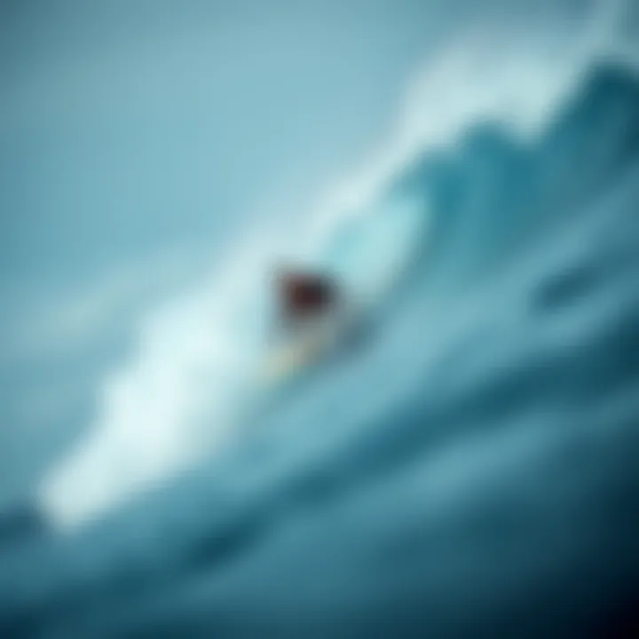 Exploring the Varied Landscape of Longboards Summary