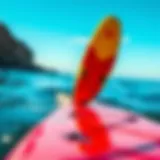 Exploring the Various Types of Stand-Up Paddleboards Introduction