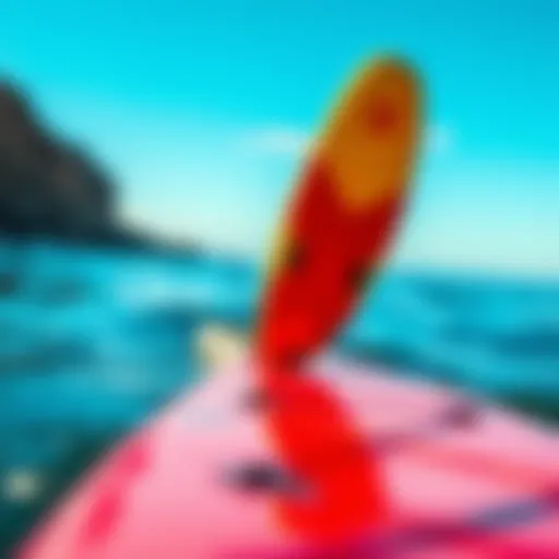 Exploring the Various Types of Stand-Up Paddleboards Introduction