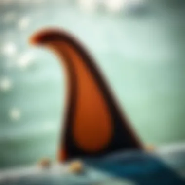 Intricate Surf Fin Design Close-up of a surf fin highlighting its intricate design and material