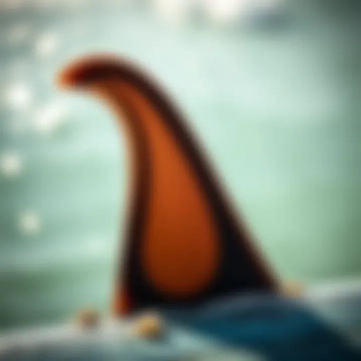 Intricate Surf Fin Design Close-up of a surf fin highlighting its intricate design and material