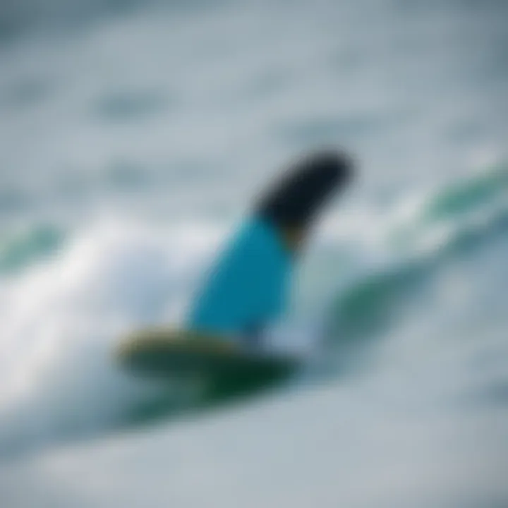 Fins in Action During Surfing Surfboard fins in action during a wave ride showcasing their functionality