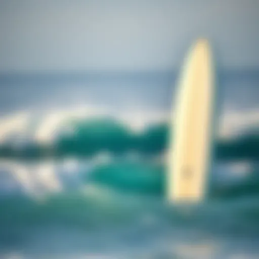 Exploring the World of 10ft Foam Surfboards Introduction