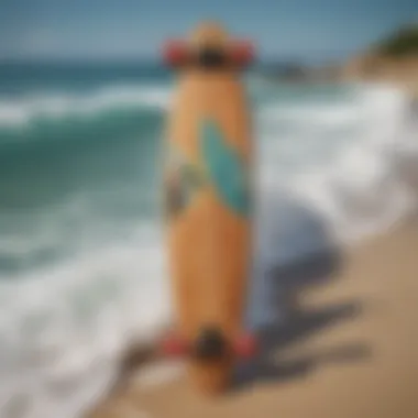 Diverse Longboard Designs A collection of longboards showcasing different designs and styles.