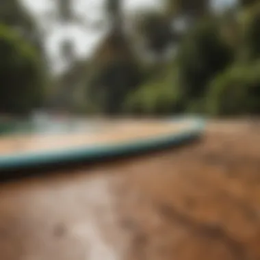 Ecologically friendly materials used in Surftech longboards