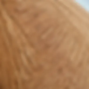 Close-up view of the natural grain of a wood skimboard