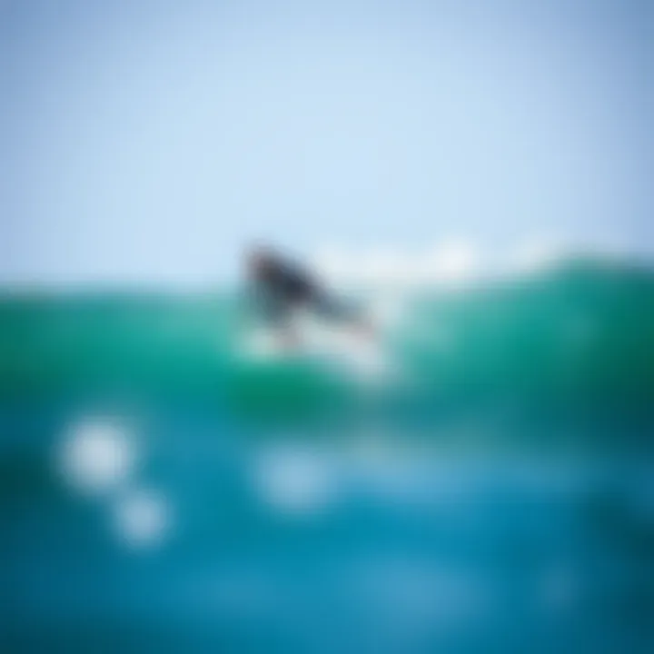 Contemporary surfer enjoying a ride on a twin fin board