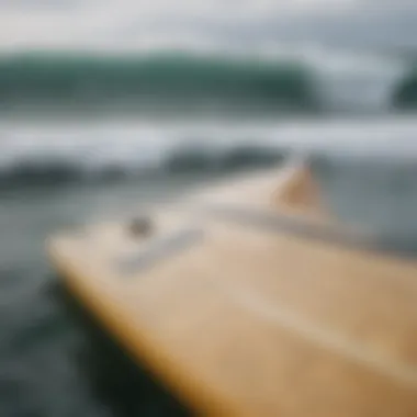 A close-up view of the FCS single fin setup on a surfboard.