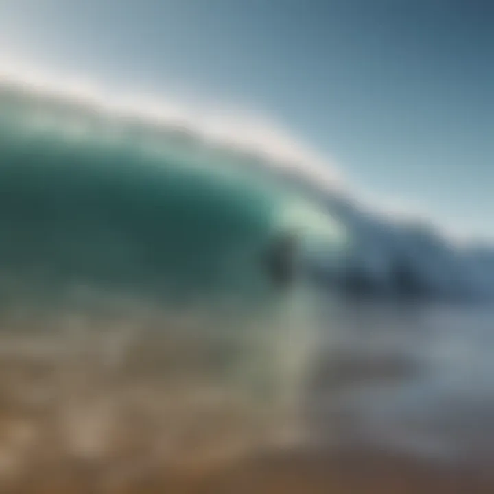 Surfers enjoying a sustainable beach environment