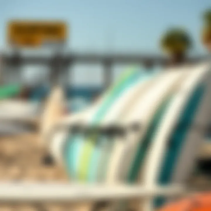 Surfboards lined up on the beach ready for rental