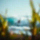 In-depth Analysis of Kalon Surf Reviews Introduction