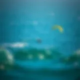 Kitesurfing in San Diego A stunning view of kitesurfers gliding over San Diego waters