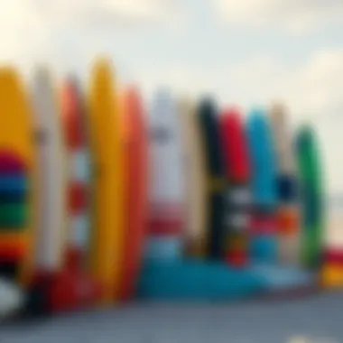 Diverse Selection of Learner Surfboards A colorful array of learner surfboards lined up on the beach, showcasing various sizes and designs.