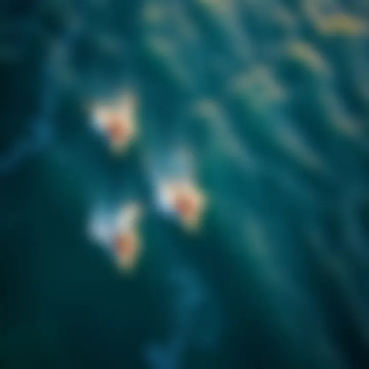 An aerial view of surfers riding waves in warm ocean waters