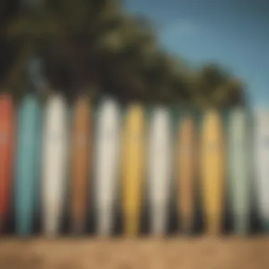 Surfboards lined up ready for use at the camp