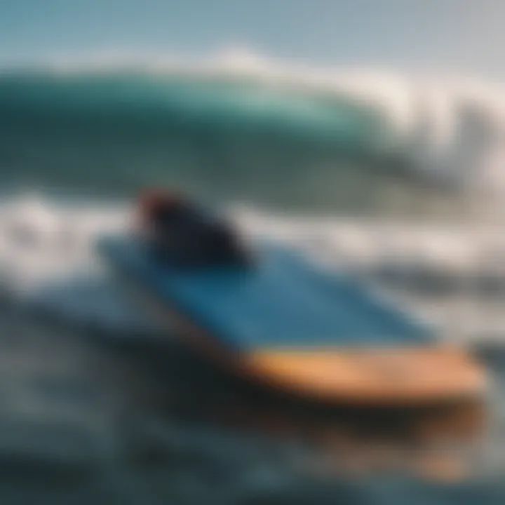 Close-up view of materials used in crafting manta bodyboards