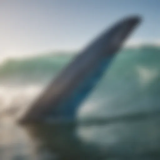 Close-up view of Mark Richards fins showcasing their unique design features.