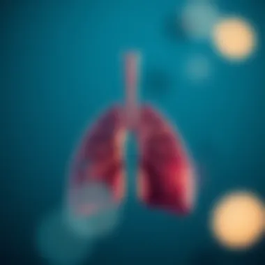 Understanding the Respiratory System Illustration of the respiratory system