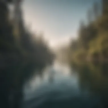 Paddleboarder navigating through a serene lake landscape