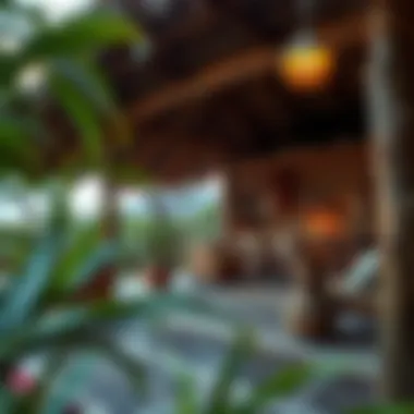 Sustainable Practices at the Camp Eco-friendly facilities at Miramar Surf Camp showcasing sustainability