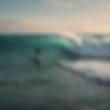 Iconic Cover of The Surfers Journal Cover of The Surfers Journal highlighting its quality