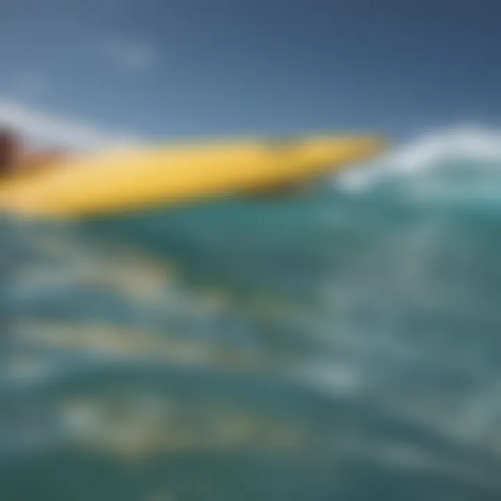 Side-by-side comparison of compatible fin types for various surfboards