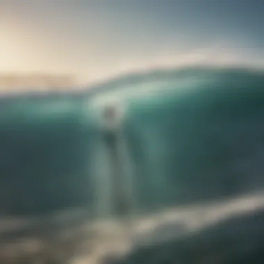 Collaborative Learning Experience A group of surfers engaging in a virtual class
