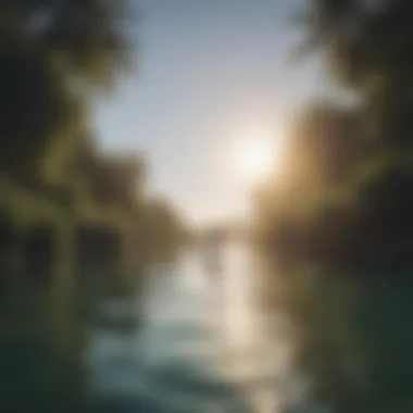 The Tranquil Experience of Motorized Paddleboarding A paddleboarder enjoying a serene waterway with an electric motor