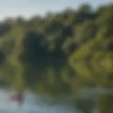 A picturesque view of Lady Bird Lake with paddleboarders gliding across the water.