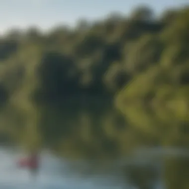 A picturesque view of Lady Bird Lake with paddleboarders gliding across the water.