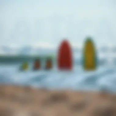 Comparison chart of skimboard types