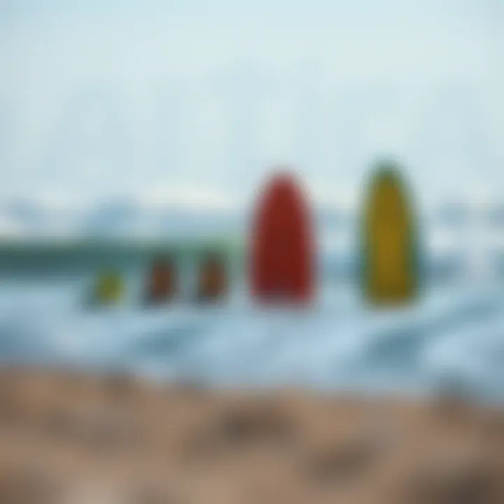 Comparison chart of skimboard types