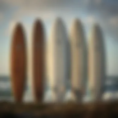 Comparative Analysis of Surfboards Comparative analysis of different surfboards including the St. Croix Mojo Surf 10 6