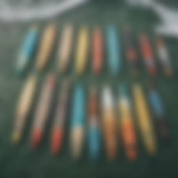 A detailed view of various SUP paddles showcasing different lengths and materials.