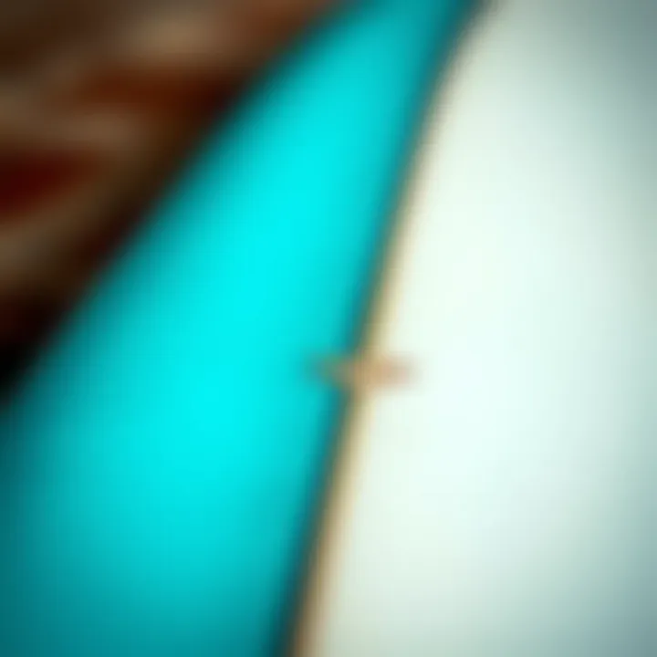 Understanding Surfboard Materials Close-up of a surfboard's material texture, highlighting the differences in construction and durability.