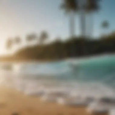 A tranquil beach scene with surfboards in the foreground