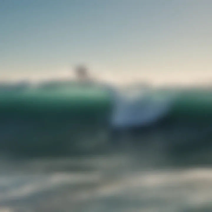 Surfers riding waves at Surfrider Beach